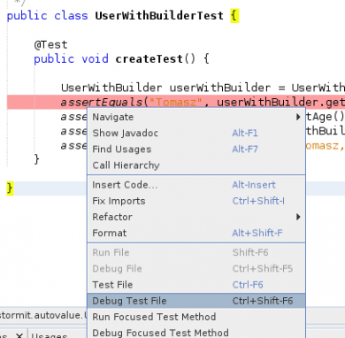 Netbeans debug test