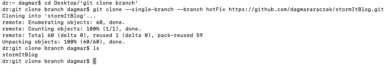 git clone – git clone branch