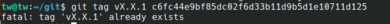 Git tag – already exists