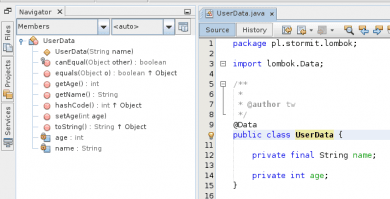 Lombok UserData