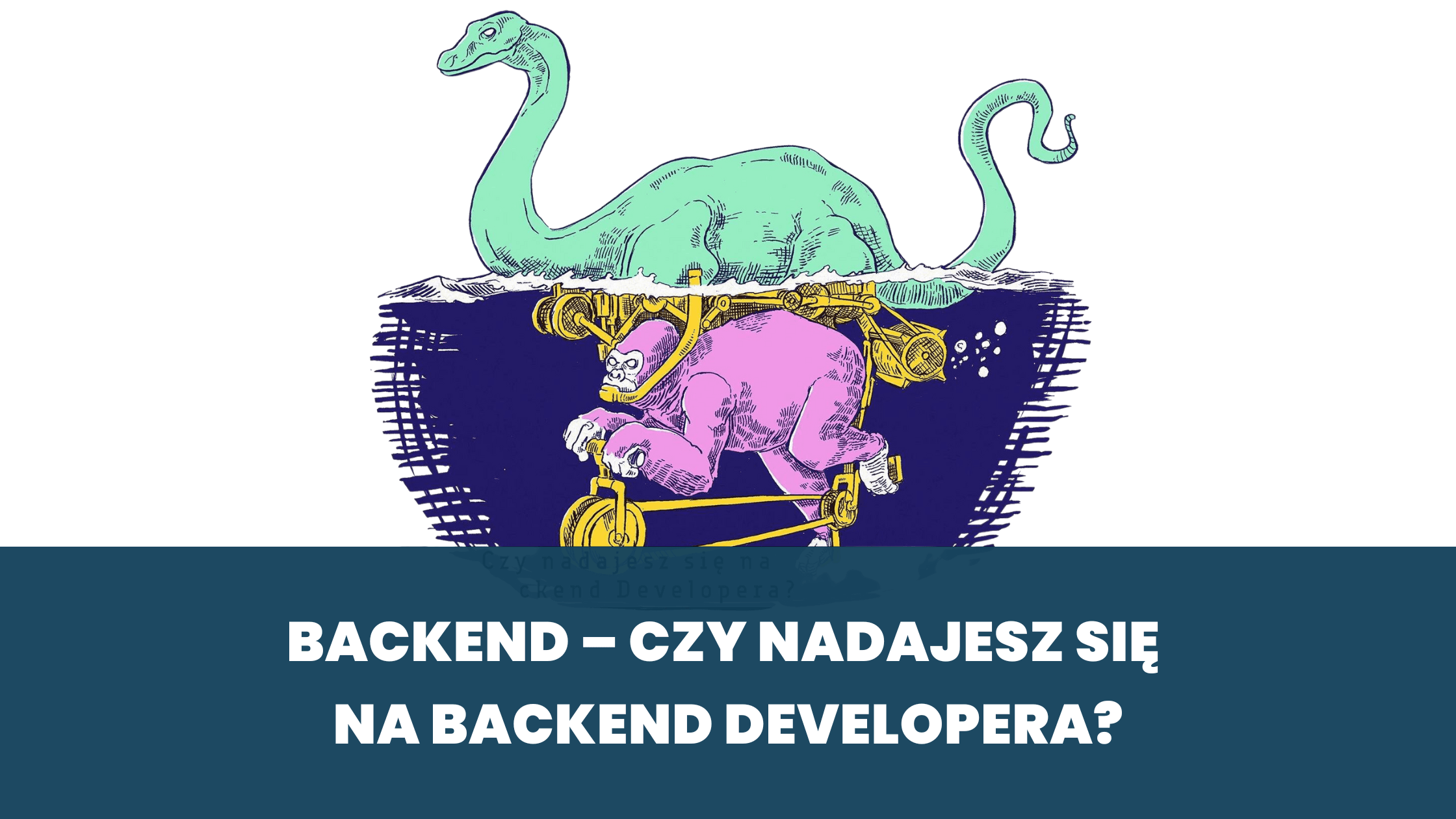 Backend – czy nadajesz się na backend developera?