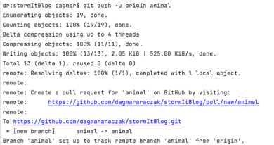 git push – git pull request GitHub
