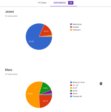 CV programisty ankieta