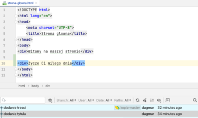 git checkout – git checkout HEAD git branch