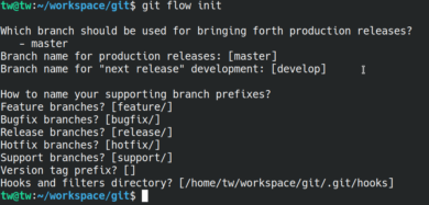 Git flow init