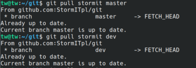 Git pull remote branch