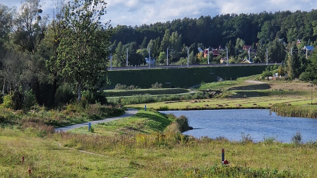 Tomek ale mi się nie chce uczyć programowania...
