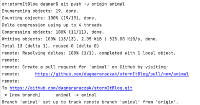 git push – git pull request GitHub