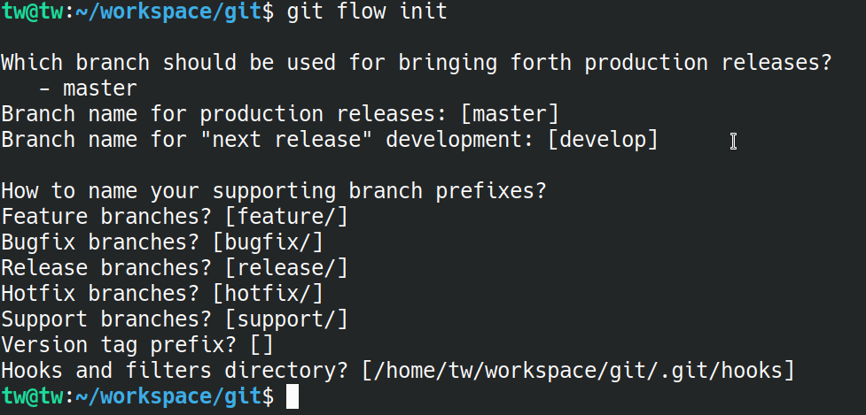 Git flow init